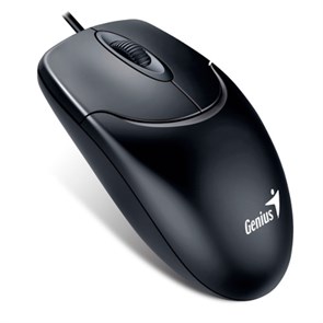 Мышь Genius NetScroll 120 V2 Optical Black, 1000dpi, USB 34951