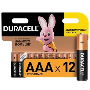 AAA (LR03) Duracell Basic MN2400, 1.5V, упаковка 12шт. 36066
