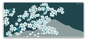 Коврик для мыши X-raypad Aqua Control II Sakura Green XXL (900x400x4мм) 36421