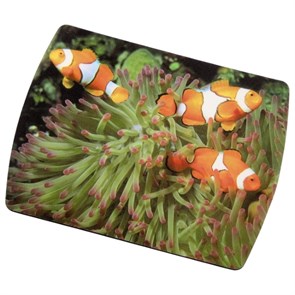 Коврик для мыши Hama Mousepad "Clownfish" (H-50259) 16893