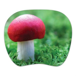 Коврик для мыши PC PET MP-TOM Turbo (Mushroom) (505002) 19947