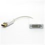 Переходник-конвертер DisplayPort (M) -> DVI (19F) 0.1м, белый 30031 - фото 11306