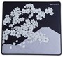 Коврик для мыши X-raypad Aqua Control II Sakura Night XL (450x400x4мм) (Black) (36422d) 37424 - фото 18999