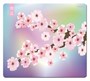 Коврик для мыши X-raypad Thor Pink Sakura XL (450x400x3мм) 37567 - фото 19388